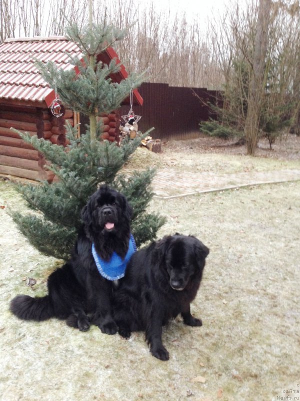 Фотография № 169129