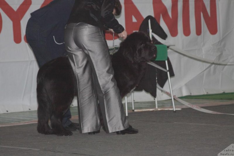 Фотография № 169133