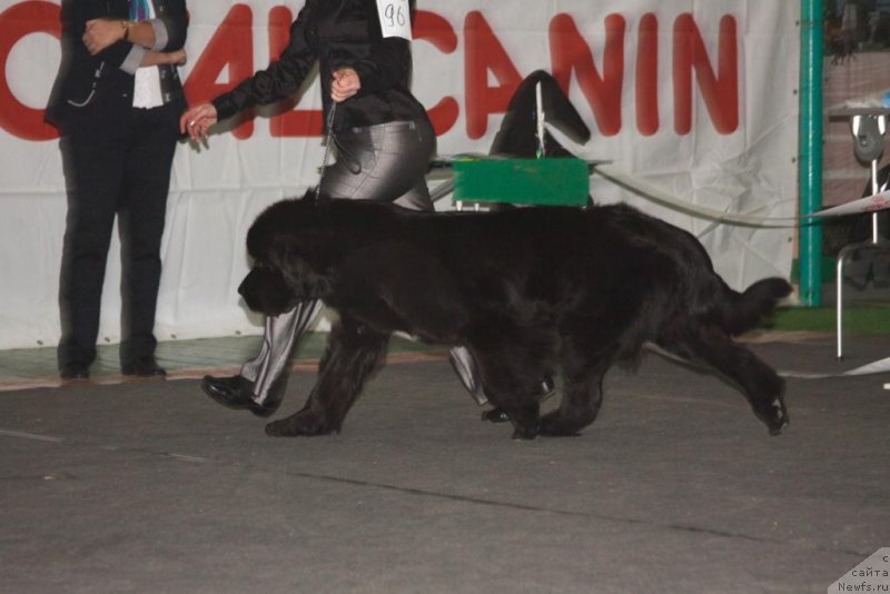 Фотография № 169134