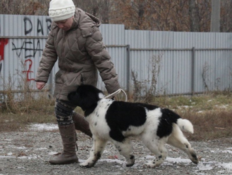 Фотография № 169140