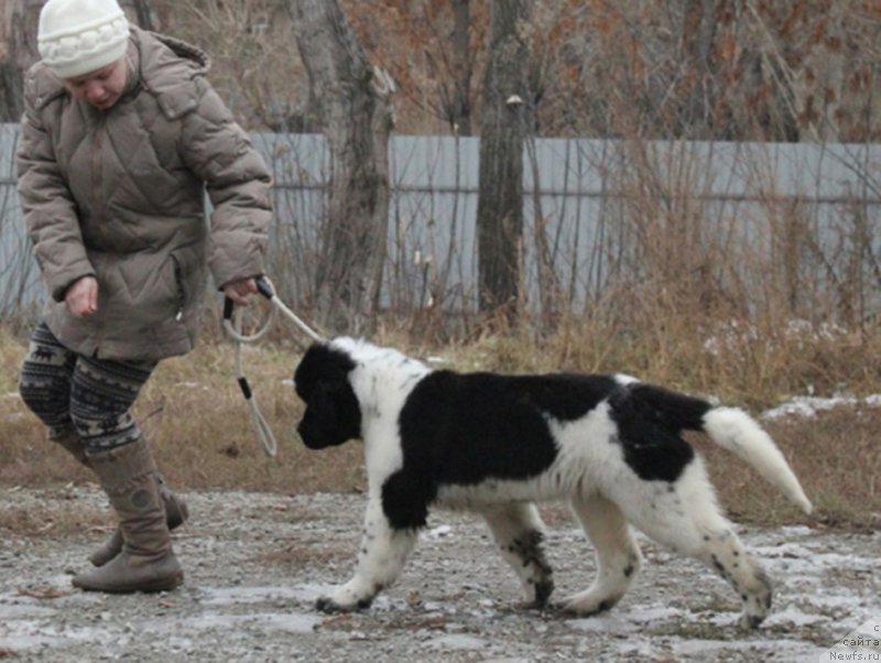 Фотография № 169141