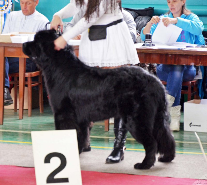 Фотография № 169147