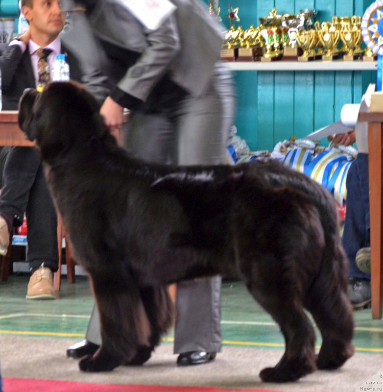 Фотография № 169148