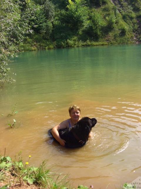 Фотография № 16915