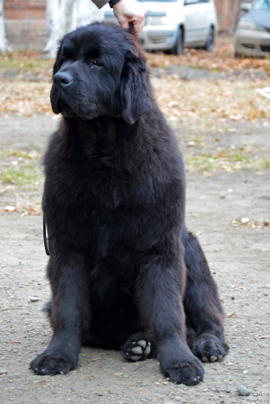 Фотография № 169151