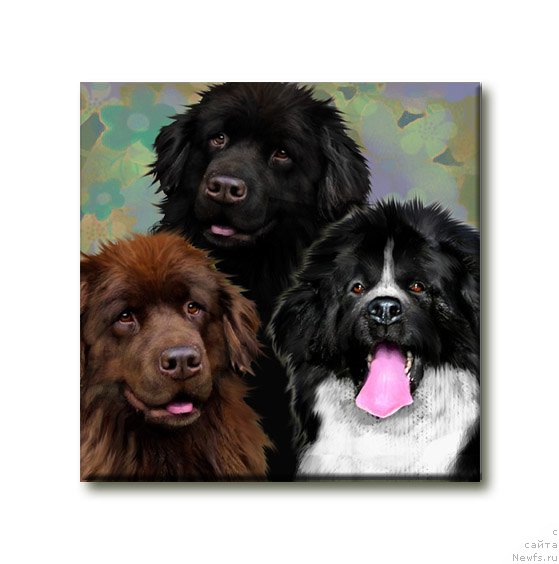 Фотография № 169160