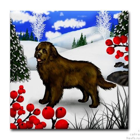 Фотография № 169161