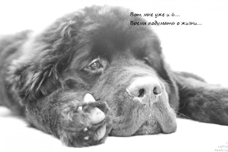 Фотография № 169168