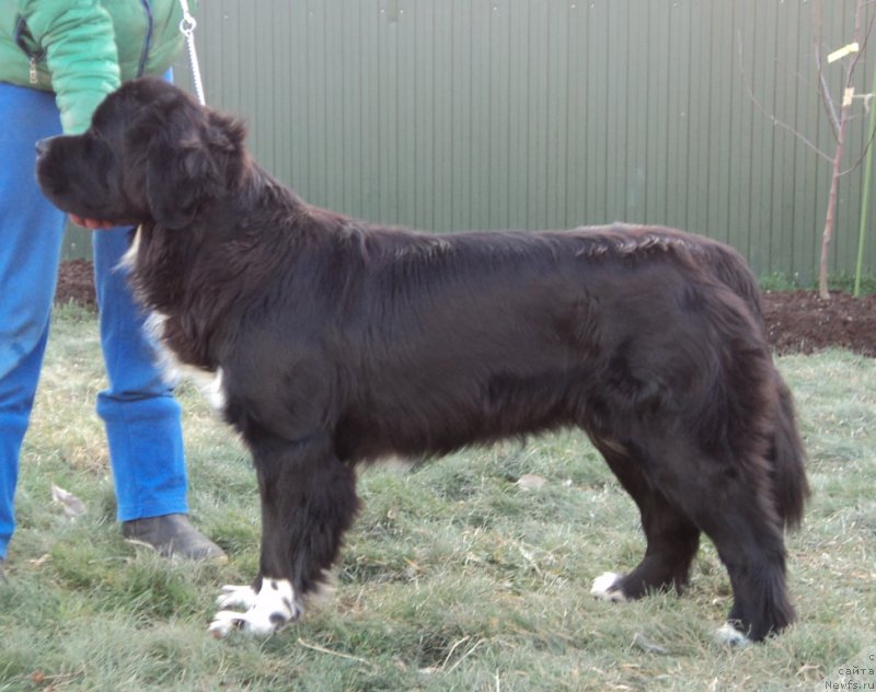 Фотография № 169172