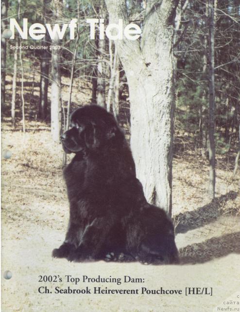 Фото: ньюфаундленд Seabrooks Heireverent Pouch Cove
