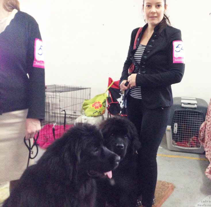 Фотография № 169236