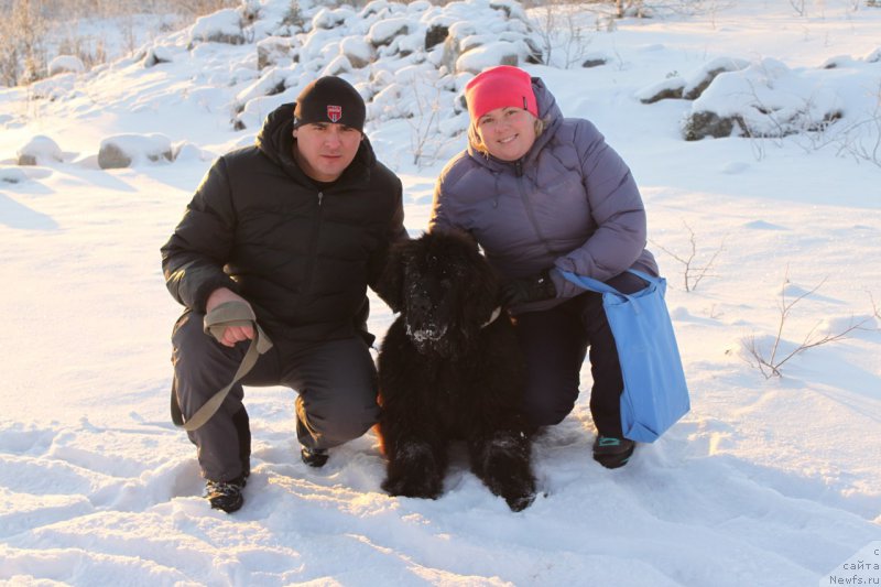 Фотография № 169251