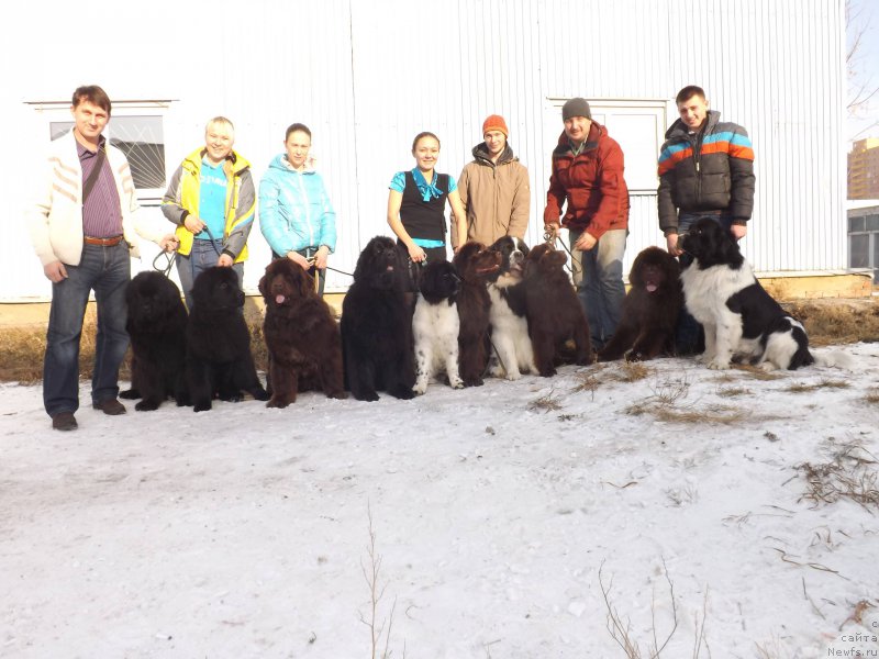 Фото: Слева направо [d12715], Дарт Вейдер, ньюфаундленд Angel Dushi Moey iz Arkaima (Ангел Души Моей из Аркаима), ньюфаундленд Salomeya iz Arkaima (Саломея из Аркаима), ньюфаундленд Fluffy Avalanche Civilization (Флюфи Аваланч Цивилизация), ньюфаундленд Gretta Garbo (Гретта Гарбо), ньюфаундленд Fluffy Avalanch Surpassing All Expektations (Флюфи Аваланч Сурпассинг Алл Експестатионс), ньюфаундленд Volna Baykala dlya Arkaima (Волна Байкала для Аркаима), ньюфаундленд Argonavt iz Arkaima (Аргонавт из Аркаима), ньюфаундленд Fluffy Avalanche neck or Nothing (Флюфи Аваланч Неск ор Нотхинг)