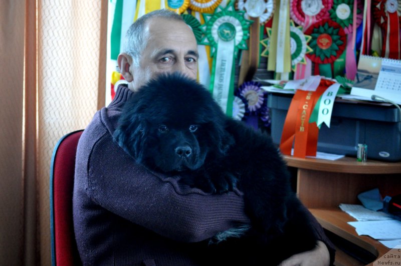 Фотография № 169289