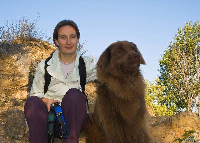 Фото: Nadejda Momot (Надежда Момот), ньюфаундленд Lesnaya Skazka Izol'da (Лесная Сказка Изольда)