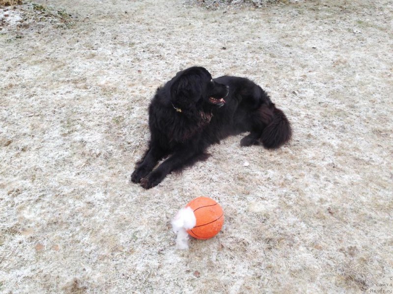 Фотография № 169296