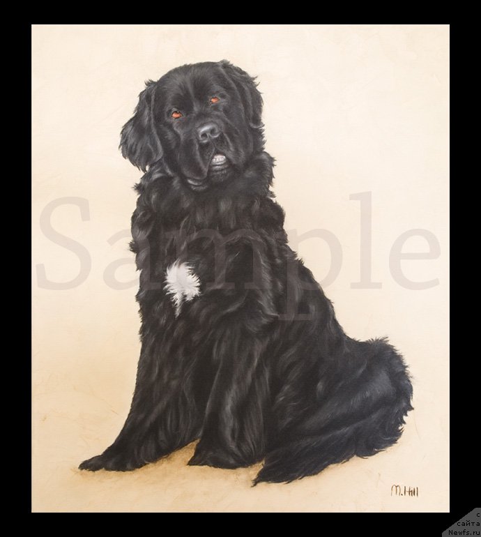 Фотография № 169302