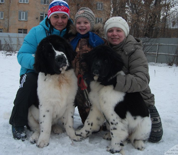 Фотография № 169323