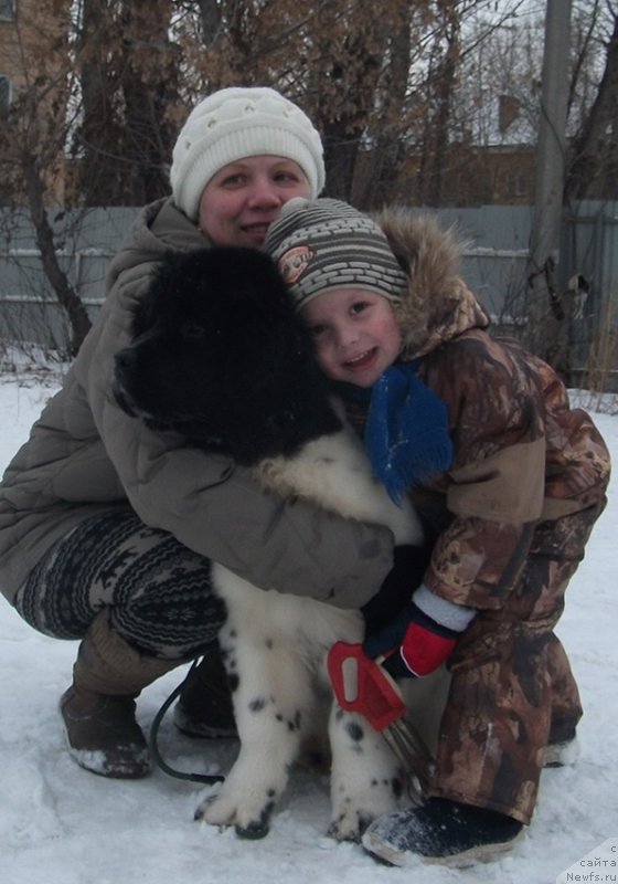 Фотография № 169324