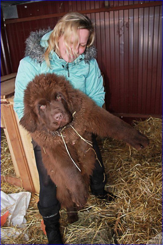 Фотография № 169392