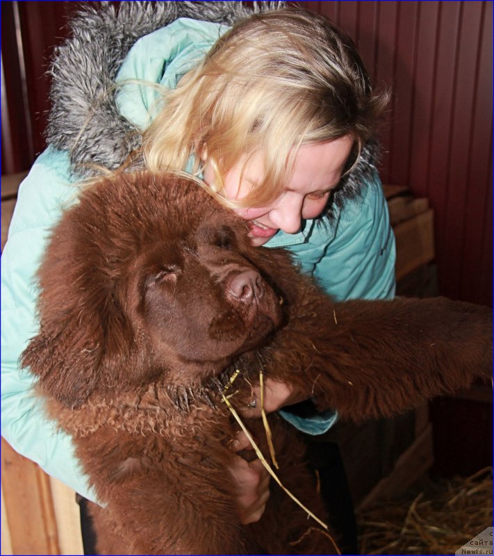 Фотография № 169395