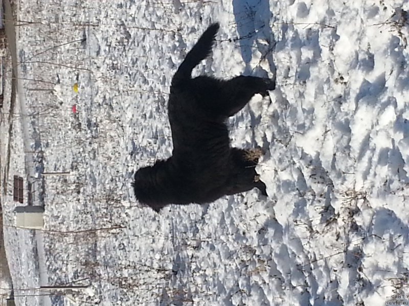 Фото: Tat'yana Tetyurikova (Татьяна Тетюрикова)