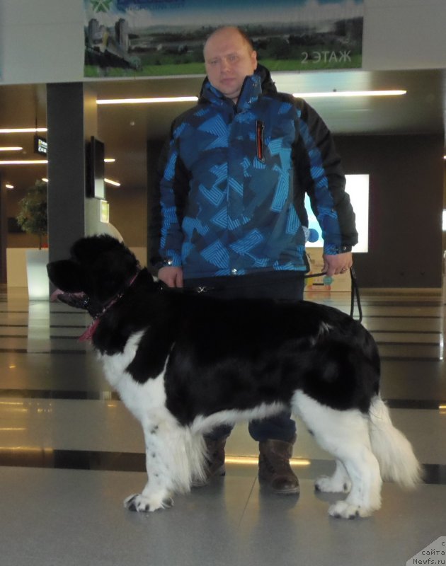 Фотография № 169496