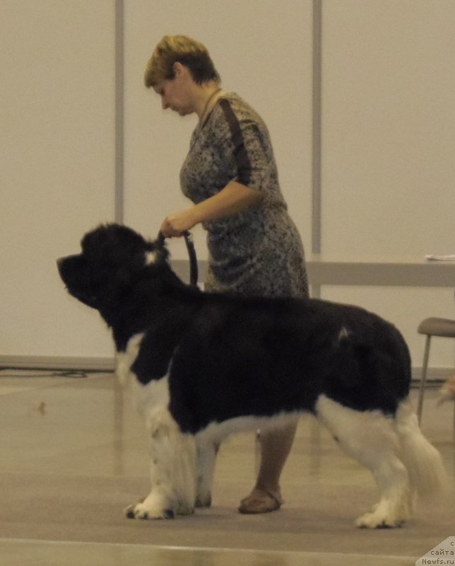 Фотография № 169497