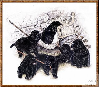 Фотография № 169506