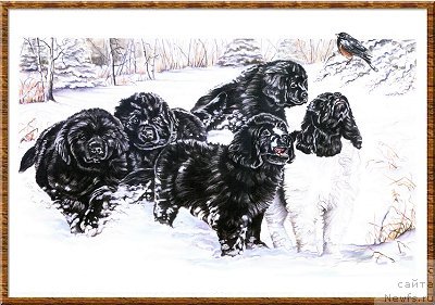 Фотография № 169507