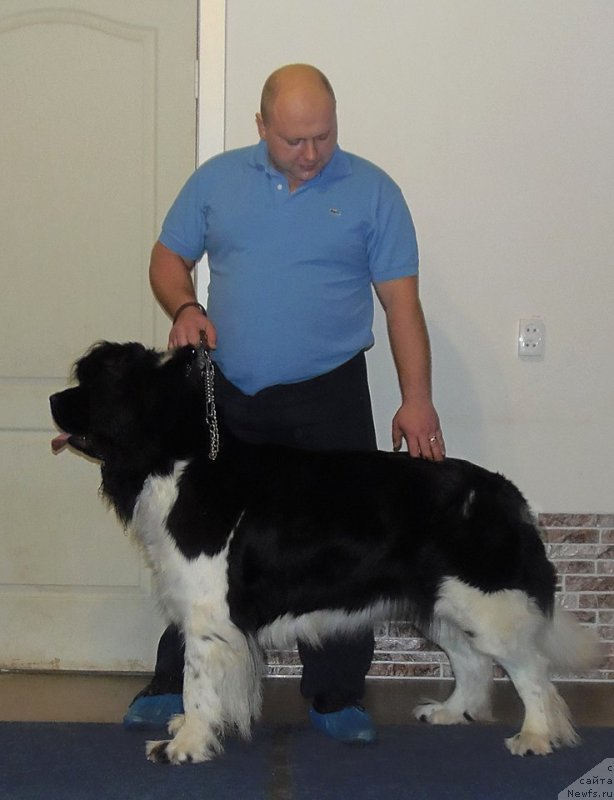 Фотография № 169510