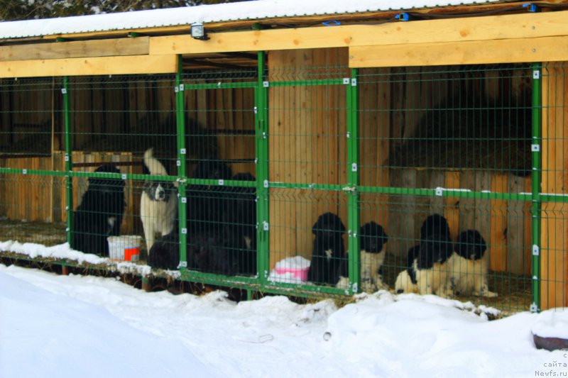 Фотография № 169521