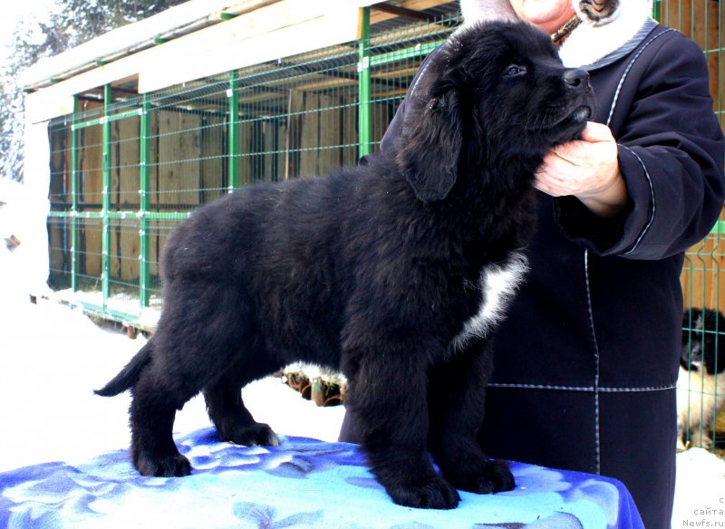 Фотография № 169524