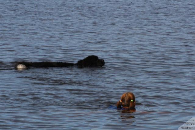 Фотография № 16954