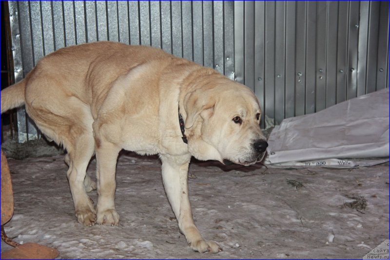 Фото: Lena Zyirina (Лена Зырина), ФРАНКО