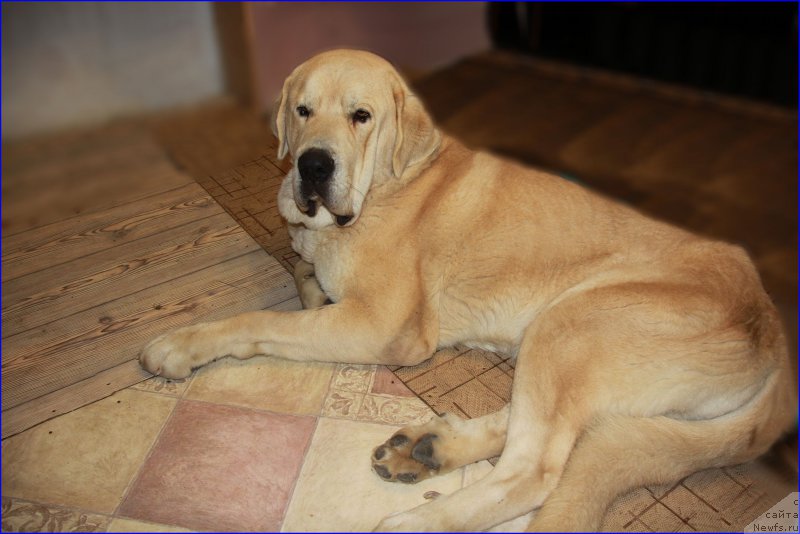 Фото: Lena Zyirina (Лена Зырина), ФРАНКО