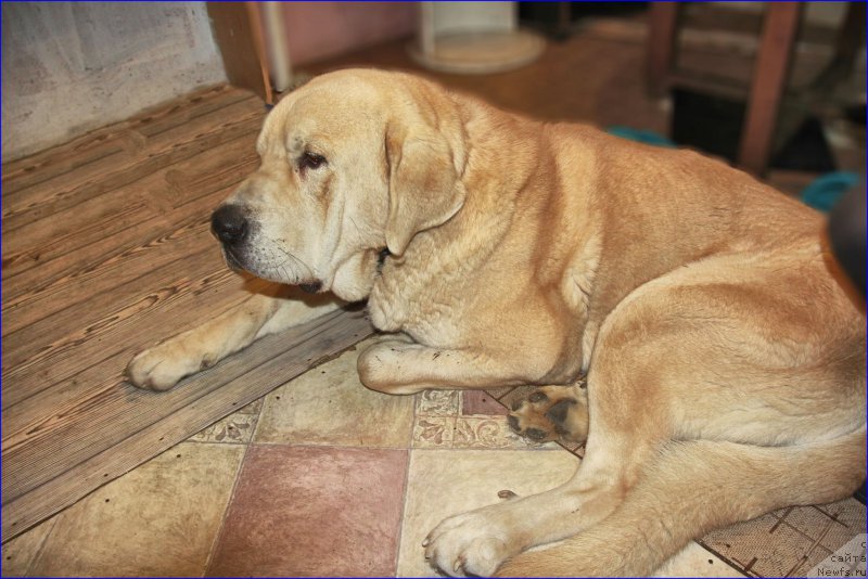 Фотография № 169557