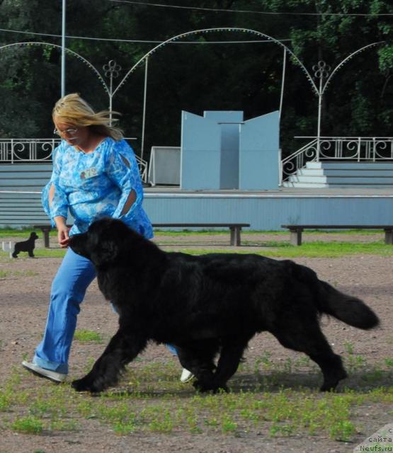 Фотография № 16956