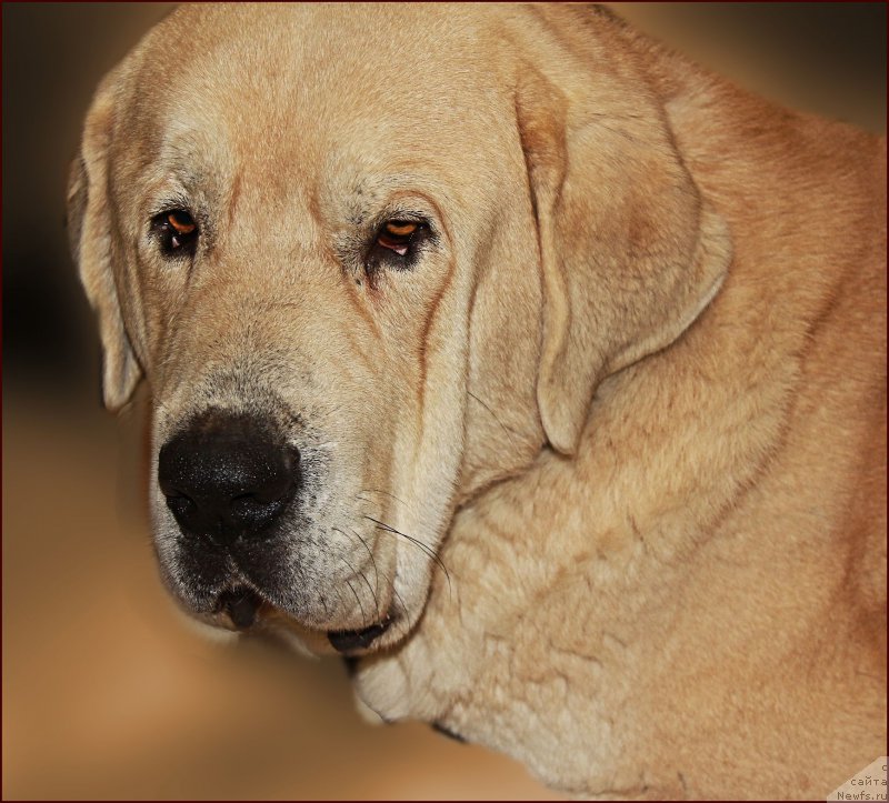 Фото: Lena Zyirina (Лена Зырина), ФРАНКО