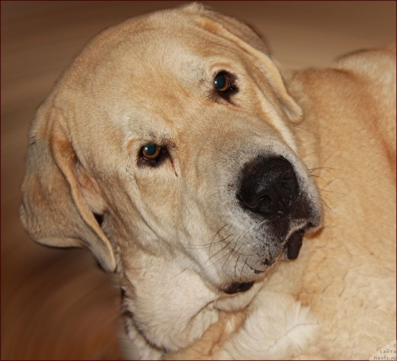 Фото: Lena Zyirina (Лена Зырина), ФРАНКО