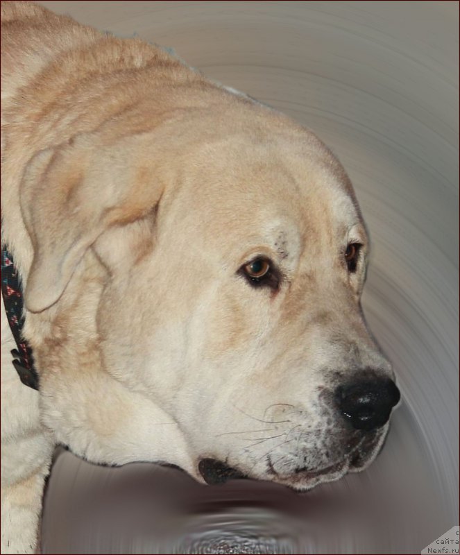 Фотография № 169562