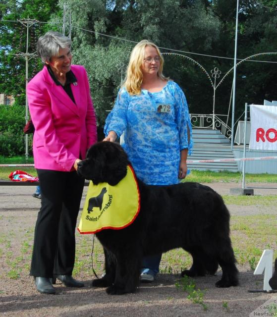 Фотография № 16957