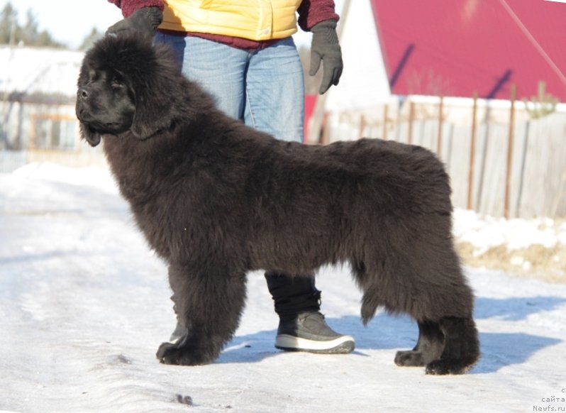 Фотография № 169577