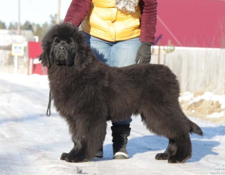 Фотография № 169579