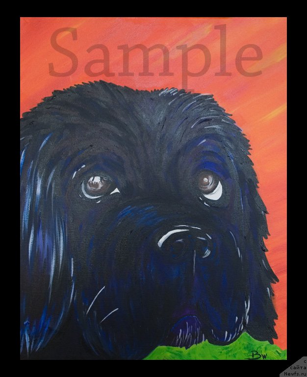 Фотография № 169584