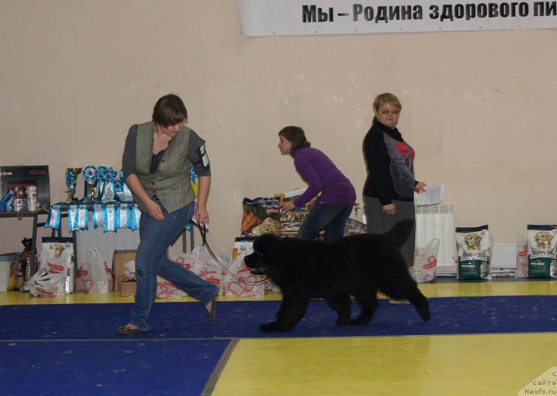 Фотография № 169640