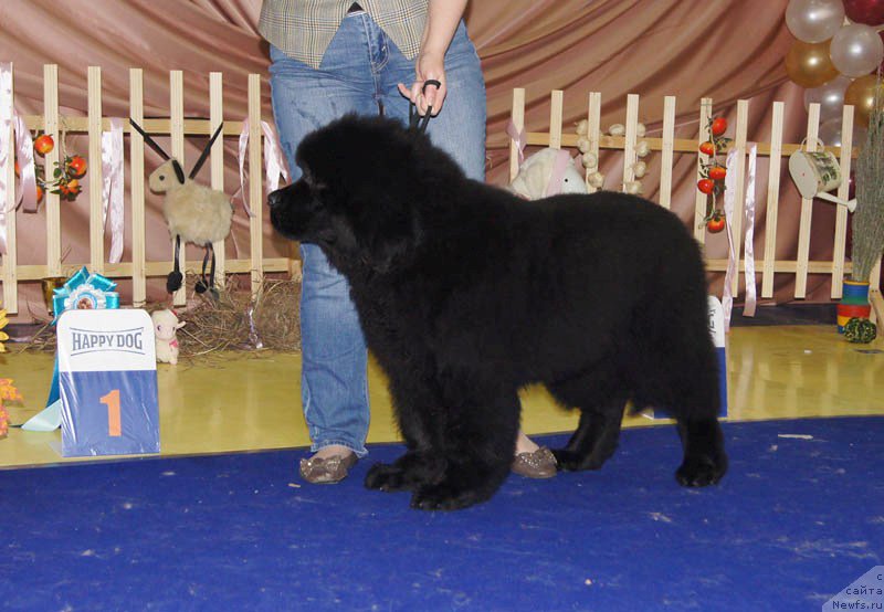 Фотография № 169641