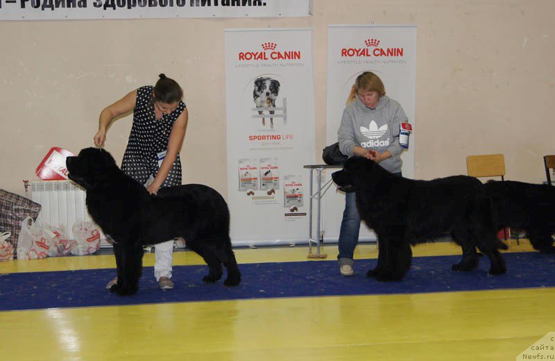 Фотография № 169643