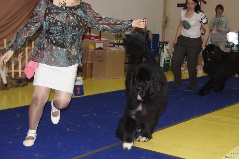 Фотография № 169662