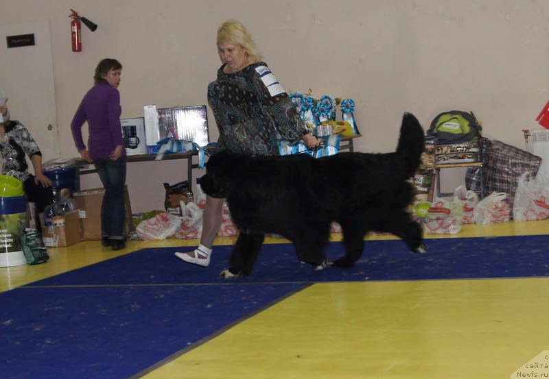 Фотография № 169664